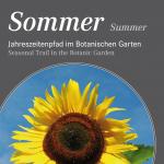 Sommer - Summer