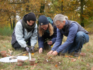 Neues Artenschutzprojekt © Stiftung Preußische Schlösser und Gärten, Foto_Nicole Romberg