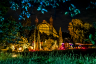 Botanische_Nacht_2023_76.jpg