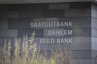 2024 10 10 Saatgutbank-8645.jpg