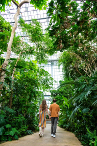 Paar im Großen Tropenhaus