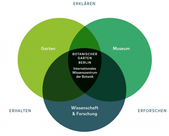 Grafik Kernanliegen