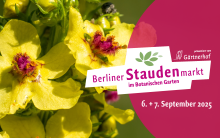 Staudenmarkt 2025